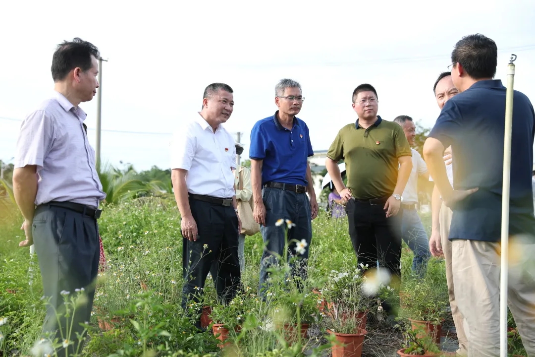 1655606860704969.jpg mmexport1655606660053.jpg