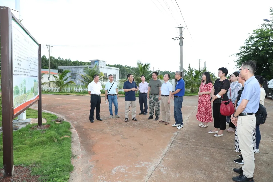 1655606813360770.jpg mmexport1655606656808.jpg